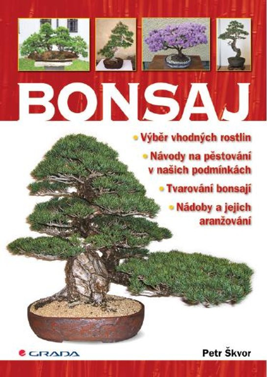 E-kniha: Bonsaj od Škvor Petr