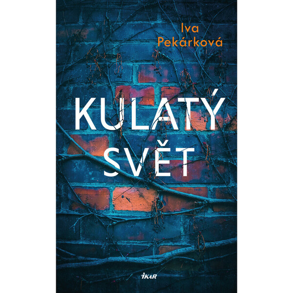 Kulatý svět