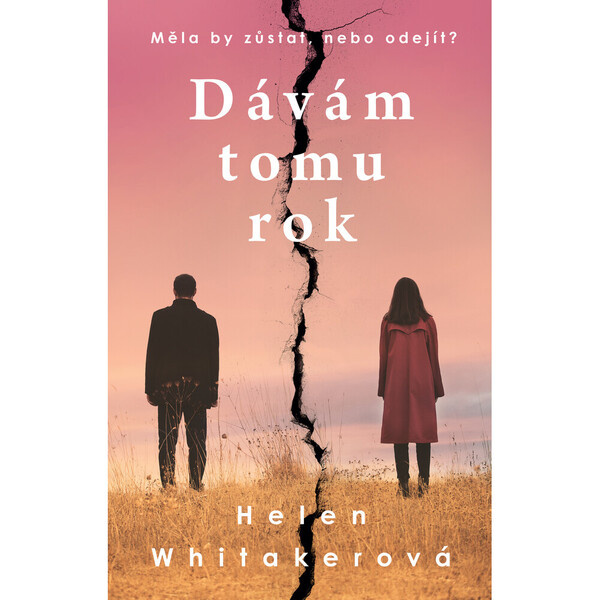 Dávám tomu rok