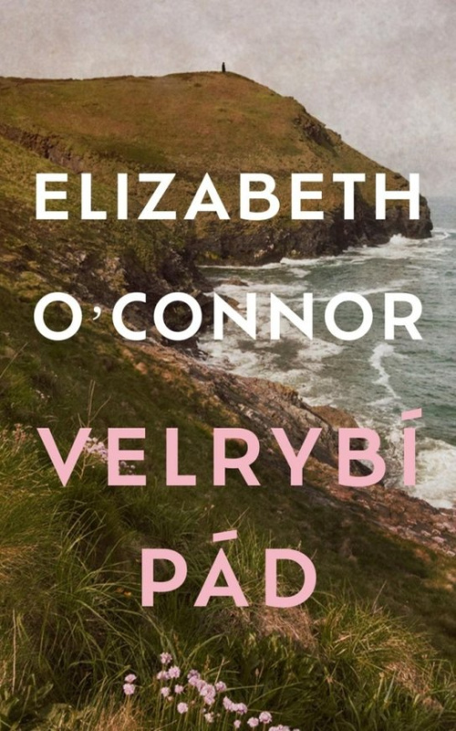 Velrybí pád