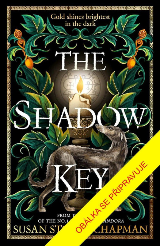 Klíč stínů - Susan Stokes-Chapman - kniha z kategorie Thrillery
