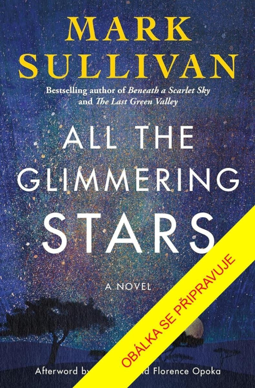 Obloha plná hvězd - Mark T. Sullivan - kniha z kategorie Společenská beletrie