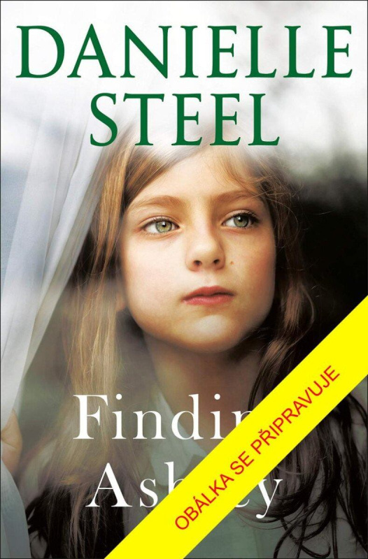 Hledá se Ashley - Danielle Steel - kniha z kategorie Společenská beletrie