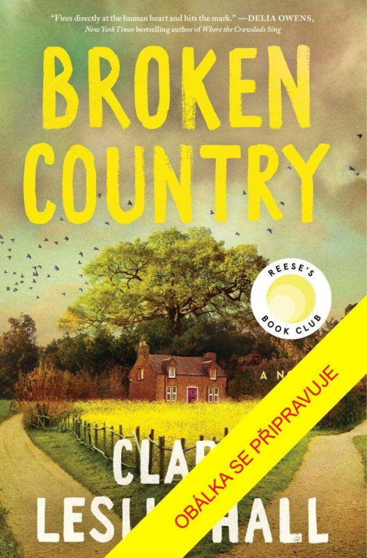 Zlomená země - Clare Leslie Hall - kniha z kategorie Společenská beletrie