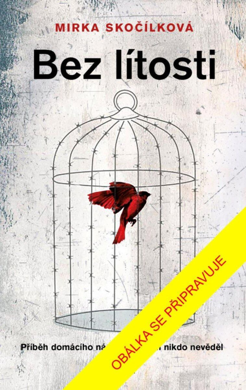 Bez lítosti - Mirka Skočílková - kniha z kategorie Společenská beletrie