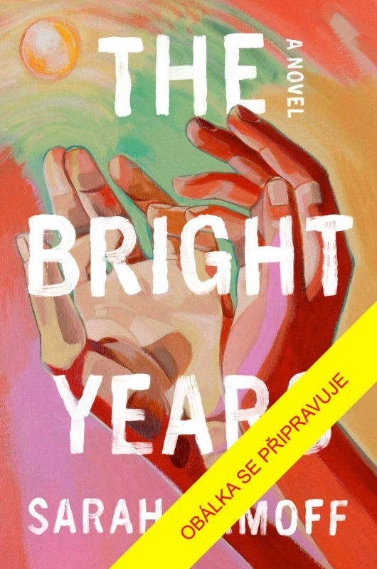 Naše zářná léta - Sarah Damoff - kniha z kategorie Společenská beletrie