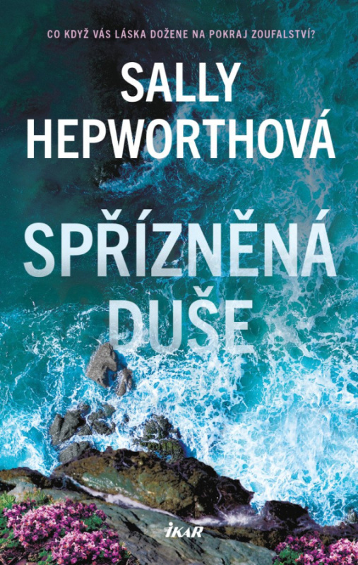 Spřízněná duše - Sally Hepworth - kniha z kategorie Thrillery