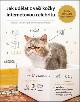 Jak udělat z vaší kočky internetovou celebritu (poškozená) - Patricia Carlin