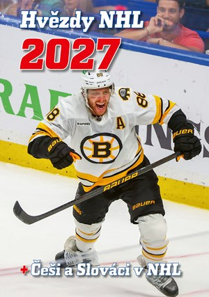 Hvězdy NHL 2027 |