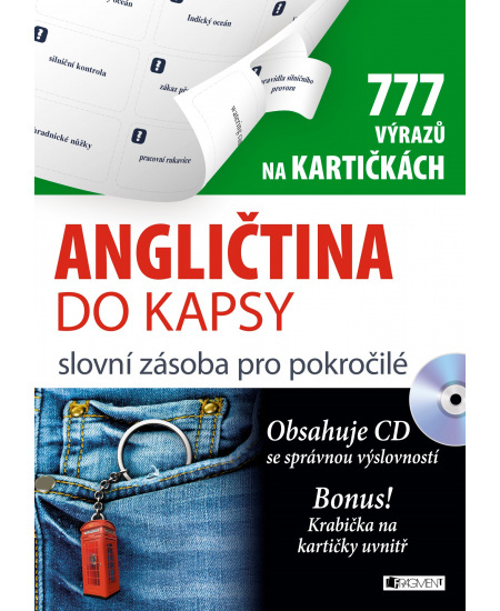 Angličtina do kapsy