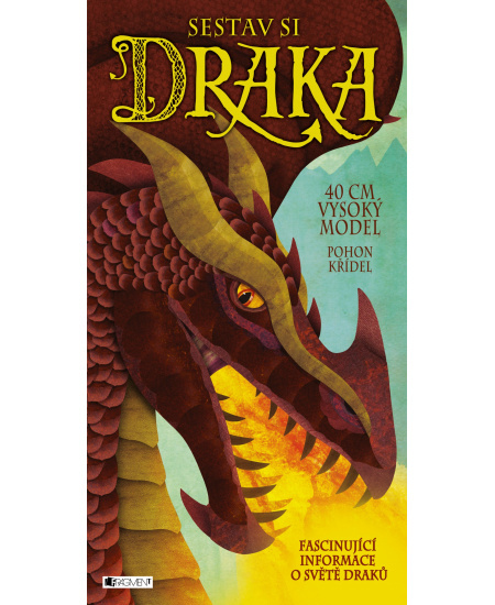 Sestav si draka Fragment