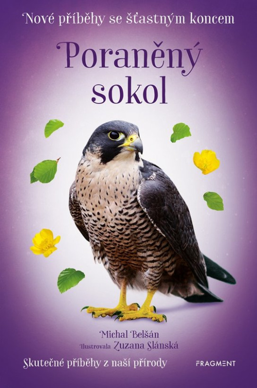 Nové příběhy se šťastným koncem – Poraněný sokol -  Michal Belšán