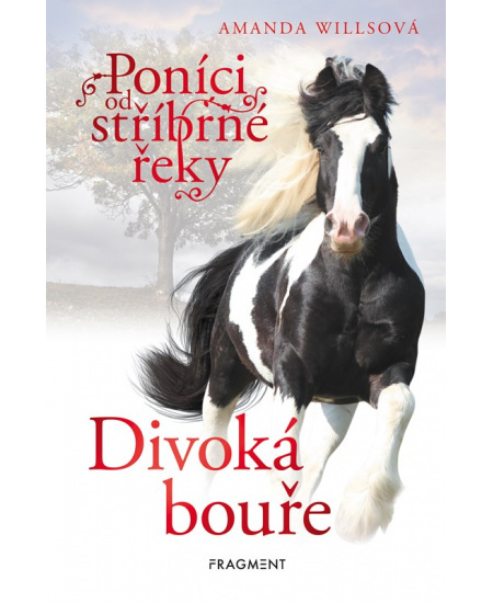 Poníci od stříbrné řeky – Divoká bouře - Amanda Willsová