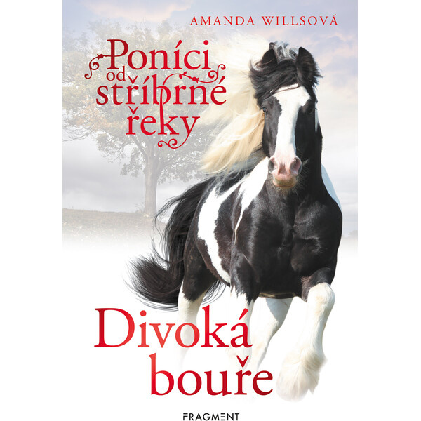 Poníci od stříbrné řeky – Divoká bouře - Amanda Willsová