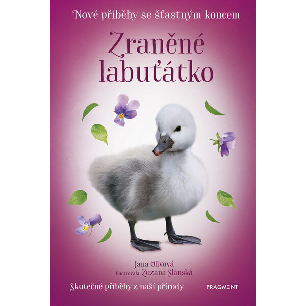 Nové příběhy se šťastným koncem – Zraněné labuťátko