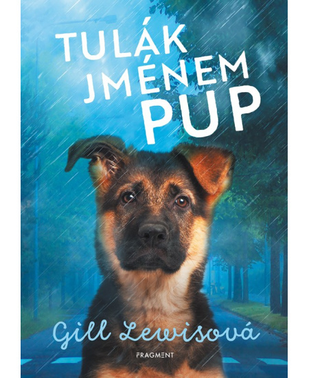 Tulák jménem Pup - Gill Lewisová