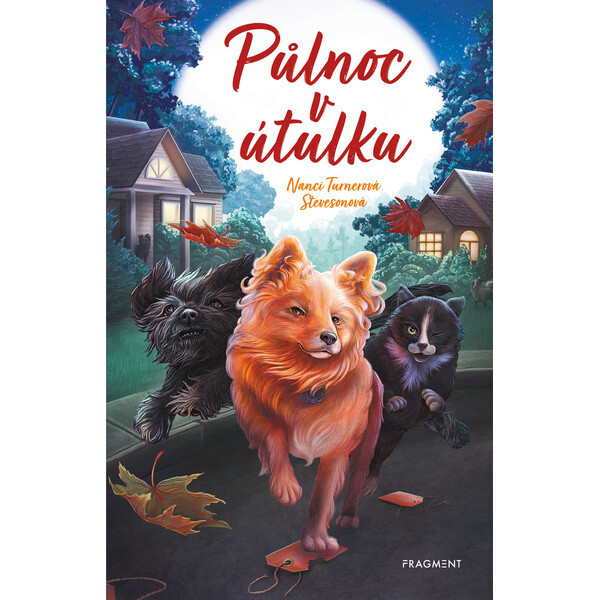Půlnoc v útulku