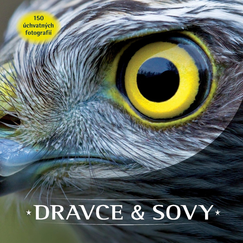 Dravce a sovy (150 úchvatných fotografií) - kniha z kategorie Biologie