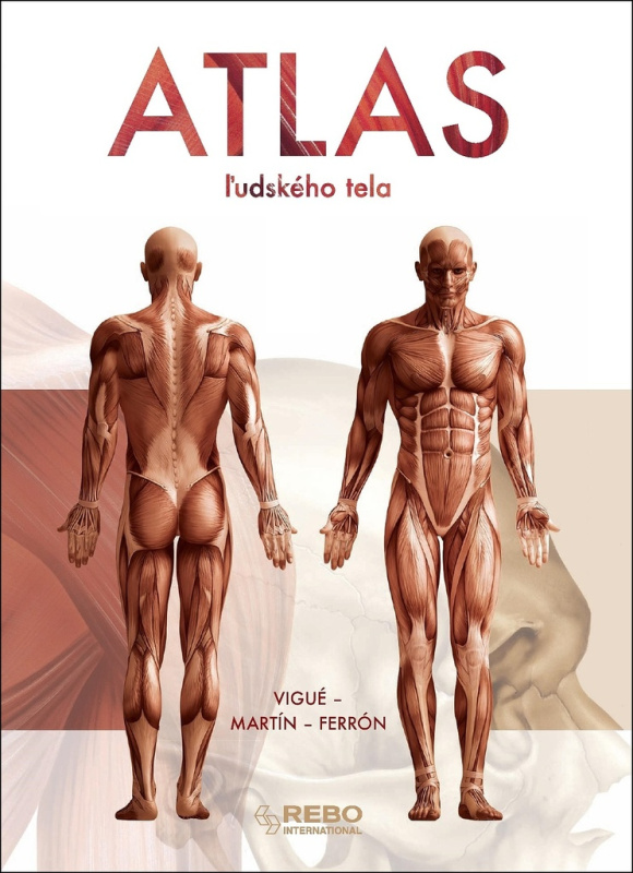 Atlas ľudského tela - Jordi Vigué - kniha z kategorie Encyklopedie