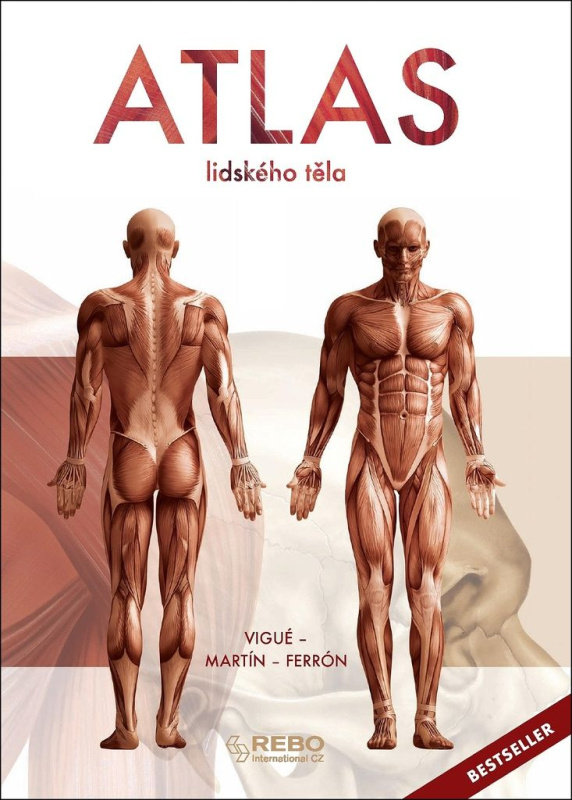 Atlas lidského těla - Jordi Viqué