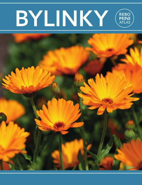 Bylinky (miniatlas) - kniha z kategorie Biologie