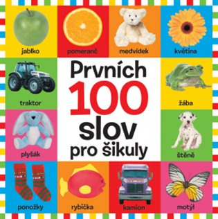 Prvních 100 slov pro šikuly Svojtka & Co. s. r. o.