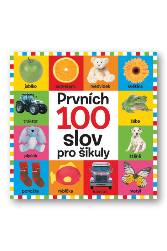 Prvních 100 slov pro šikuly Svojtka & Co. s. r. o.