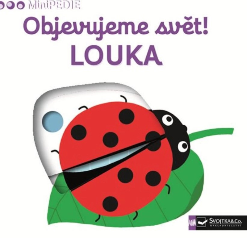Objevujeme svět! Louka