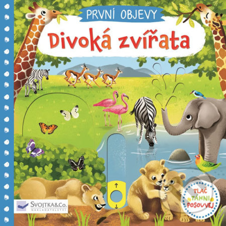 Divoká zvířata