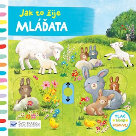 Jak to žije - Mláďata