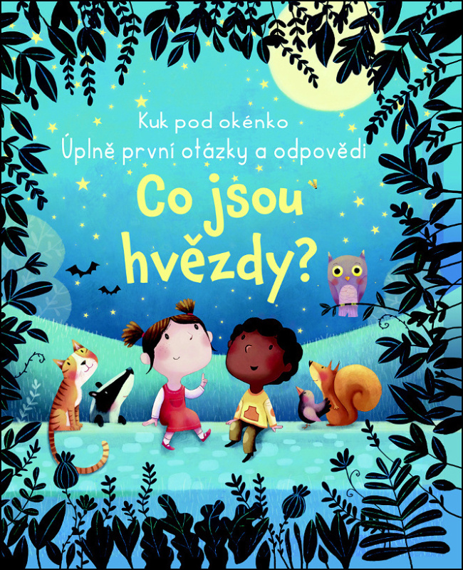 Co jsou hvězdy? - Katie Daynes