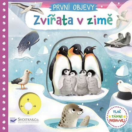 Zvířata v zimě