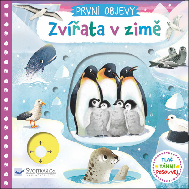 Zvířata v zimě