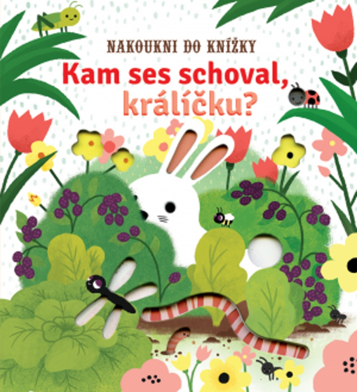 Kam ses schoval, králíčku? - Sam Taplin