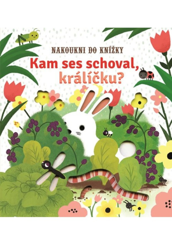Kam ses schoval, králíčku? - Sam Taplin