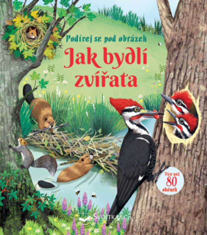 Jak bydlí zvířata - Emily Bone