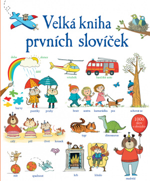 Velká kniha prvních slovíček - Mairi Mackinnon, Kate Hindleyová