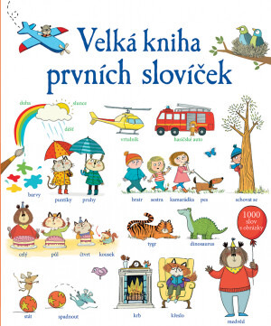 Velká kniha prvních slovíček - Mairi Mackinnon, Kate Hindleyová