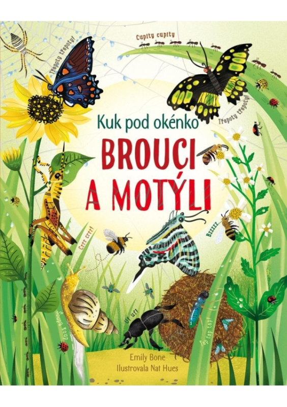 Brouci a motýli - Kuk pod okénko - Emily Bone