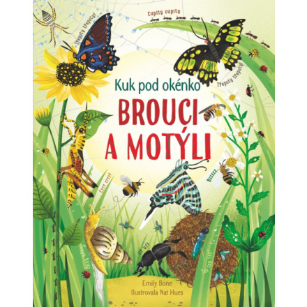 Brouci a motýli - Kuk pod okénko - Emily Bone