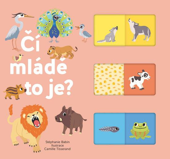 Čí mládě to je? - Stéphanie Babin