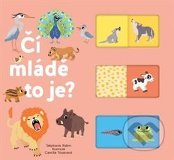 Čí mládě to je? - Stéphanie Babin