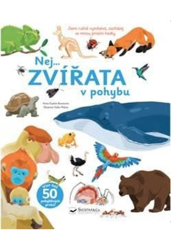 Nej... ZVÍŘATA v pohybu - Anne-Sophie Baumann, Éléonore Della Malva