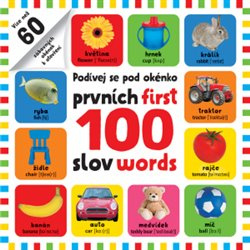 Podívej se pod okénko - prvních 100 slov - first 100 words - kol.