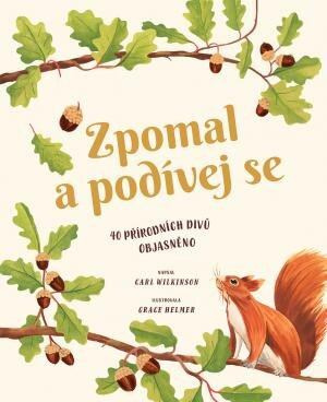 Zpomal a podívej se - Carl Wilkinson