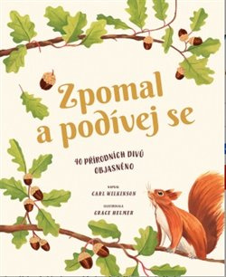 Zpomal a podívej se - Carl Wilkinson