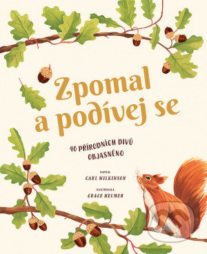 Zpomal a podívej se - Carl Wilkinson