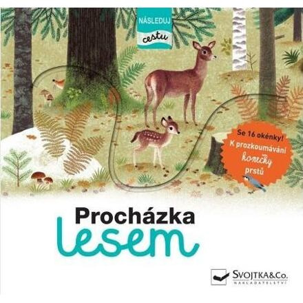 Procházka lesem - následuj cestu
