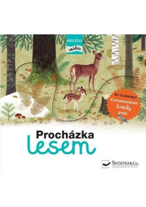 Procházka lesem - následuj cestu