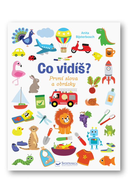 Svojtka & Co. Co vidíš? První slova a obrázky